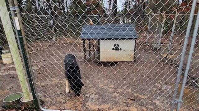 В АМЕРИКАНСКОЙ ДЕРЕВНЕ ЧЕСНИ РОЖДЕСТВЕНСКАЯ ПОГОДА / США смотреть онлайн