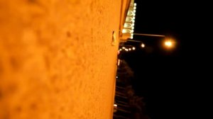 Последние секунды жизни собаки Очень трогательно