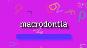 How to say "macrodontia"! (High Quality Voices)