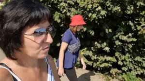 Сколько проблем🤦Налетели как собаки🤬ЗАСТУПИЛАСЬ🤨