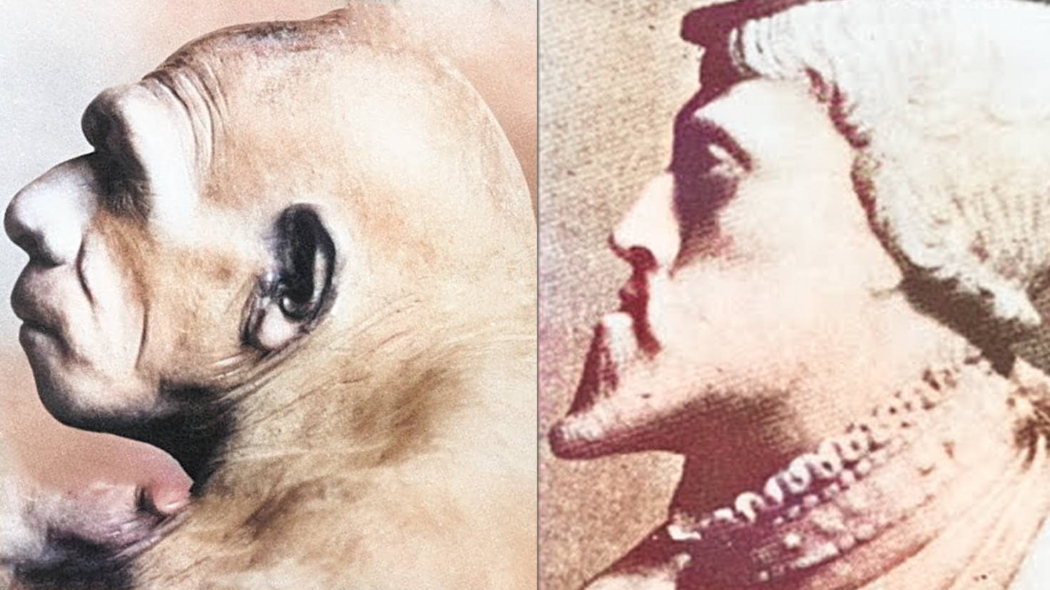 БЛИЗКОРОДСТВЕННЫЕ СВЯЗИ: жуткая история ИНБРИДИНГА смотреть онлайн