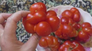 #ТОМАТЫ и #ЛУК (привезённое с дачи). 26 августа с #ТатьянойПивкиной