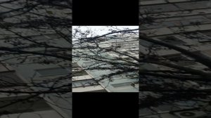 СЛЕЖУ ЗА КОМАНДОЙ 5И5!НО В КОНЦЕ Я НЕ ОЖИДАЛ...