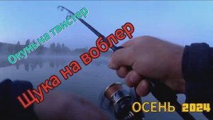 Осенняя ловля хищника на спиннинг #рыбалка #осень2024 #россия2024