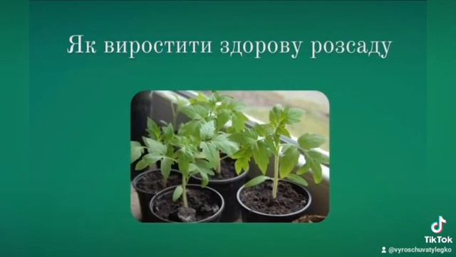Онлайн курс "Легкий город без хімії"