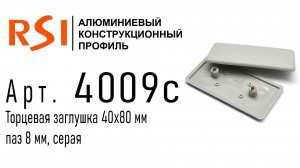 4009с | Торцевая заглушка 40х80, серая