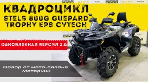 Квадроцикл Stels ATV 800G Guepard Trophy EPS CVTech 2.0