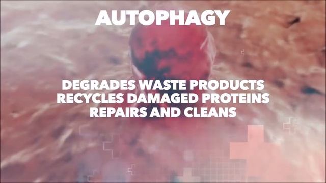 Your best strategy against cancer part 1 - Dr. Eric Berg DC смотреть онлайн