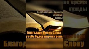 ✨Гедеоновы братья✨