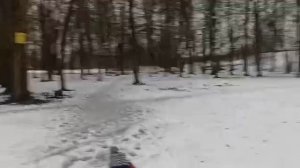 катание на санках