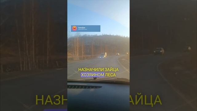 Сборник самых смешных анекдотов от СмехДом
#анекдоты #смех #юмор