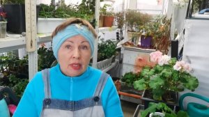Пришла в УЖАС от комментариев на канале Иван Русских? Люди, будьте добрее!