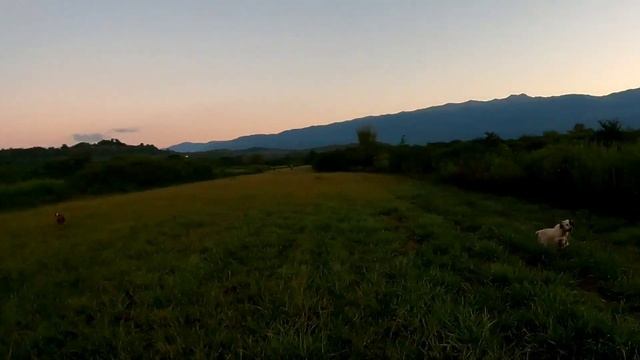 29 сентября 2023 г. смотреть онлайн