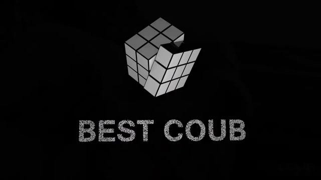 «ДОМАШНИЙ КРОКОДИЛ» Best Coub - Октябрь 2020
