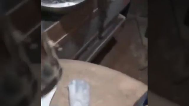 Вет аптечка куска смотреть онлайн