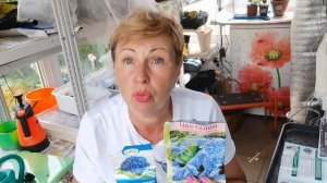 У вас НЕ цветут ГОРТЕНЗИИ? Будут цвести ПЫШНЫМИ ШАПКАМИ если выполнить 7 правил