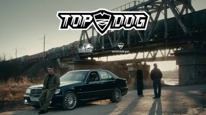 ПИТЕРСКИЙ ЩИТ х TOP DOG