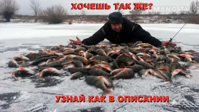 3 СПОСОБА поймать ОГРОМНУЮ КУЧУ ОКУНЯ зимой
