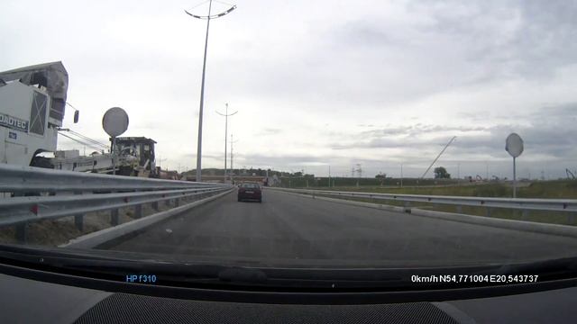 Котенок полз по трассе. Приют для кошек Наши.