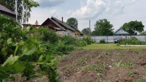 Обзор 2.06.2024