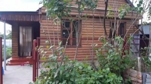 Обрезка сирени 2 в 1. Как обрезать сирень и "Убить двух зайцев"? Как сделала я?