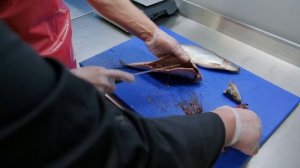 Фарерская сельдь — разделка и посол