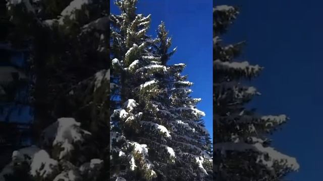 Красота