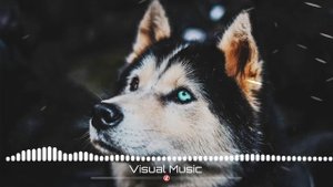 Канги - Собака (Я хочу найти  ту самую собаку Что живет под лавкой  Брошенную в парке )2021