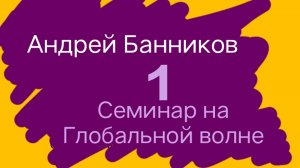 Андрей Банников перед зрителями Глобальной волны. 1ый семинар