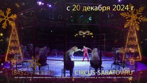Невероятное цирковое шоу «Маска или приключения ёлочных игрушек»! В Саратовском цирке!