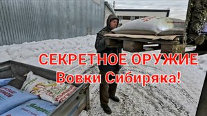 СЕКРЕТНОЕ ОРУЖИЕ ВОВКИ СИБИРЯКА!