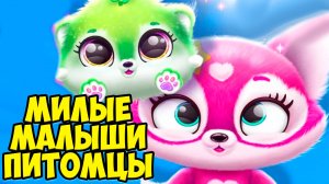 🥰Малыши питомцы😸новый малыш😸Fluvsies Merge Party