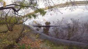 Курьяновский слив. Уйти от ноля.