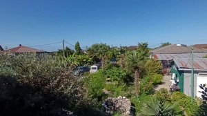 Гумиста. Абхазия. Утро. доброе. На море.