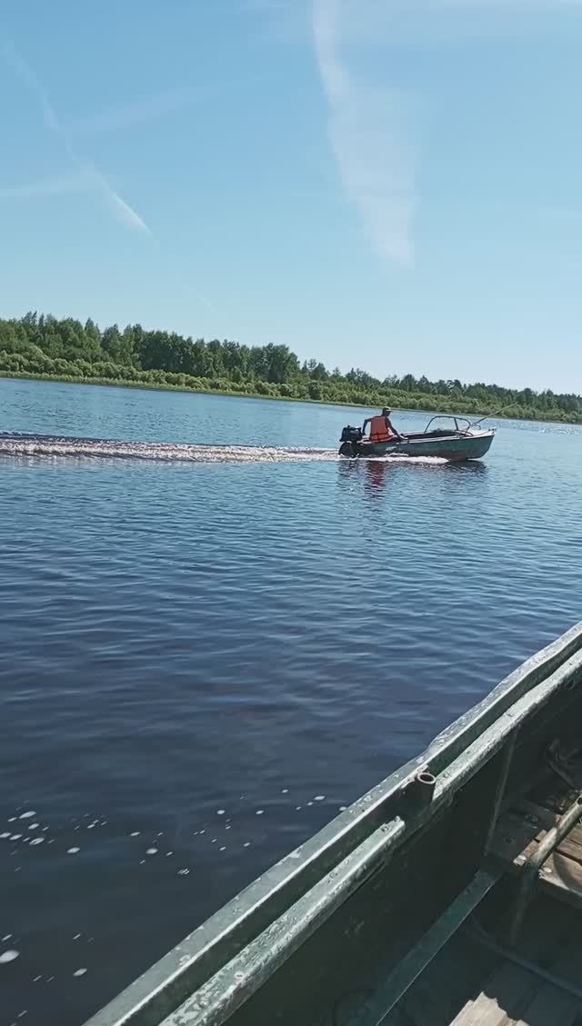 надо же такому присниться!#shorts смотреть онлайн
