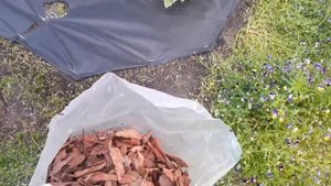 Не будет сорняков! Сделай как я! Сама без мужа сделала за 1 час красивый цветник без сорняков