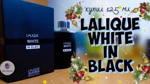 купил 125 мл. LALIQUE WHITE IN BLACK - пряно-смолистые цитрусы и лаванда / мой новогодний вайб🌟🎇🎆