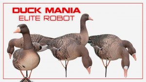 Белолобый гусь Duck Mania "ELITE ROBOT"