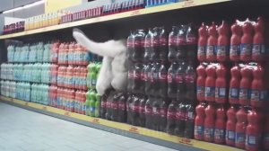 крутые коты