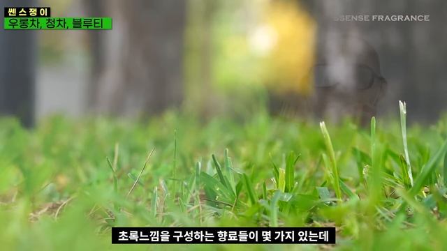 차(TEA) 향수 - 녹차,우롱차,홍차,밀크티를 담은 향수추천 10가지