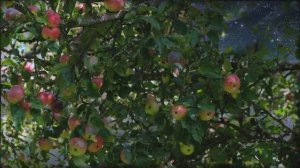 Рождённая во время звездопада