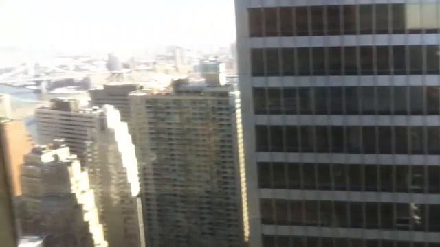 Cat's office смотреть онлайн