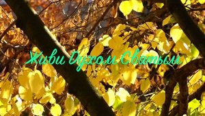 07. Исихия. иером. Симон (Безкровный)