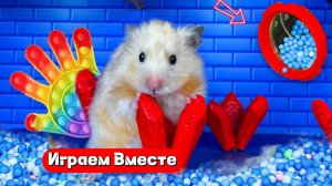 Хомяк попал в ПОП ИТ лабиринт с ЛОВУШКАМИ ! Выбираемся вместе 🐹🐹🐹 Видео для детей