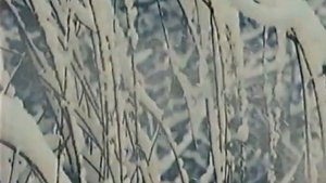 рекламный блок Россия (2) (20.12.2007)