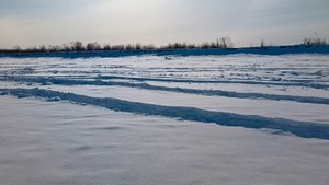 Река Лена