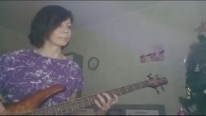 "Dark necessities" RHCP (bass cover)