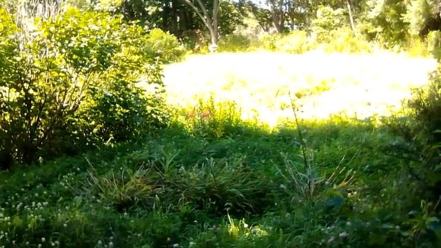 70. 15 АВГУСТА. РОМАНОВКА - ПРИСТАНЬ! видео для тех кто служил и жил тут