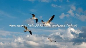 14. Птицы Небесные. Симеон Афонский.