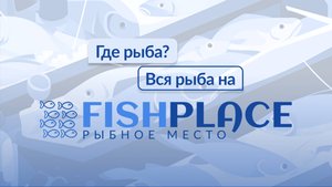 Ищем склад и оформляем заявку на хранение через цифровую платформу fishplace.ru.